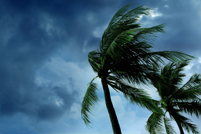 Homeowner Tips For Hurricane Season